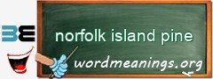 WordMeaning blackboard for norfolk island pine